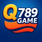 Q789 Game