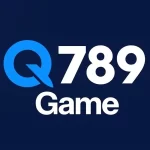 Q789 Game