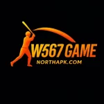 W567 Game